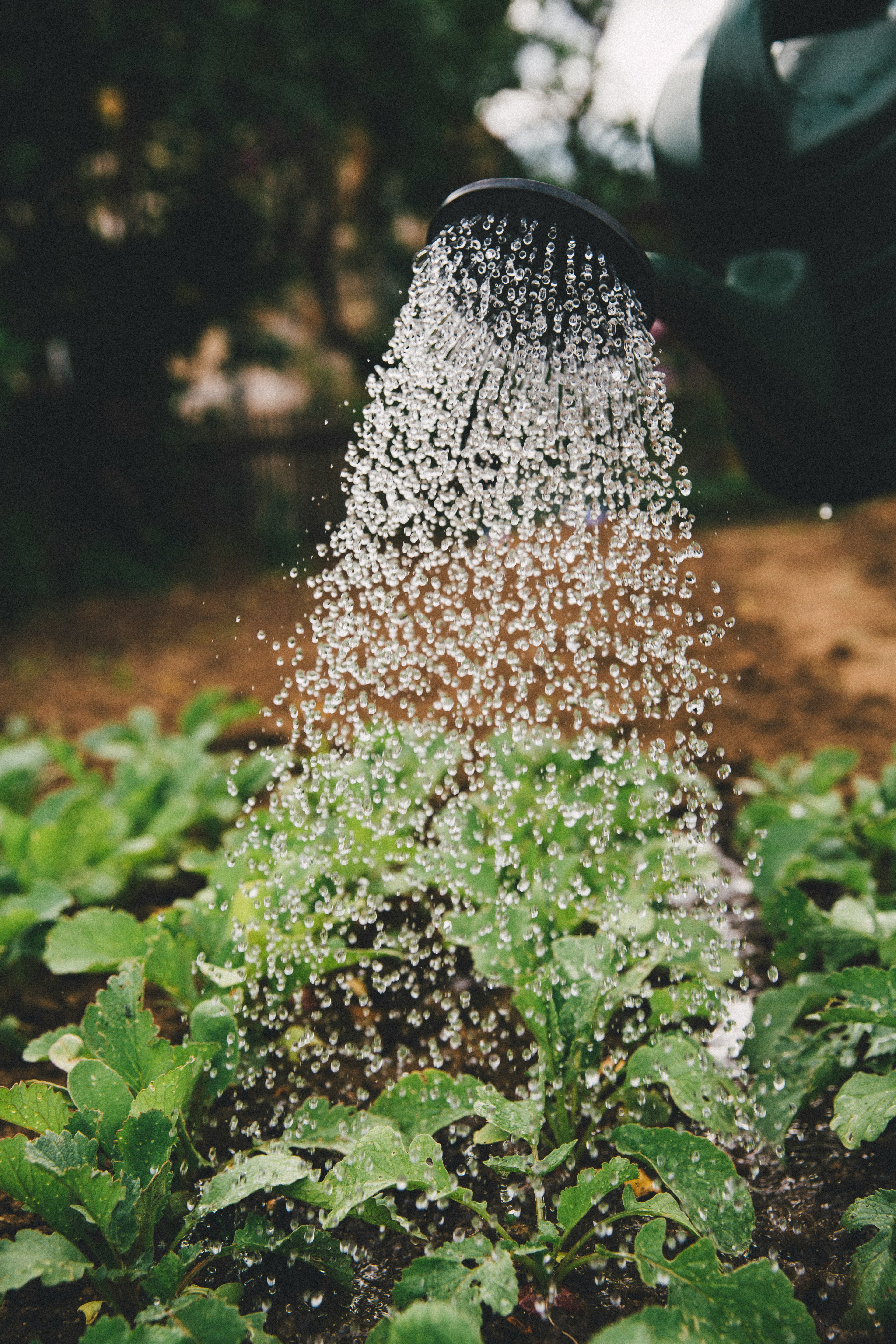 Agricultural Development